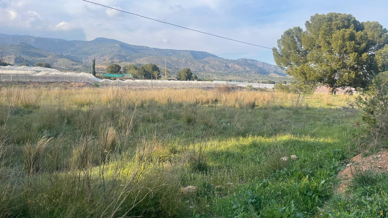 Parcela en Venta en Totana