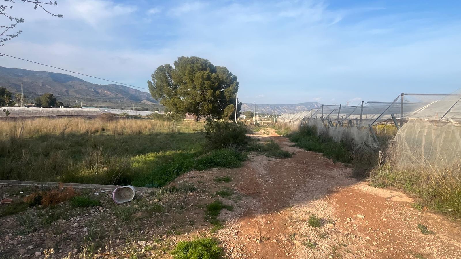 Plot for Sale in Totana