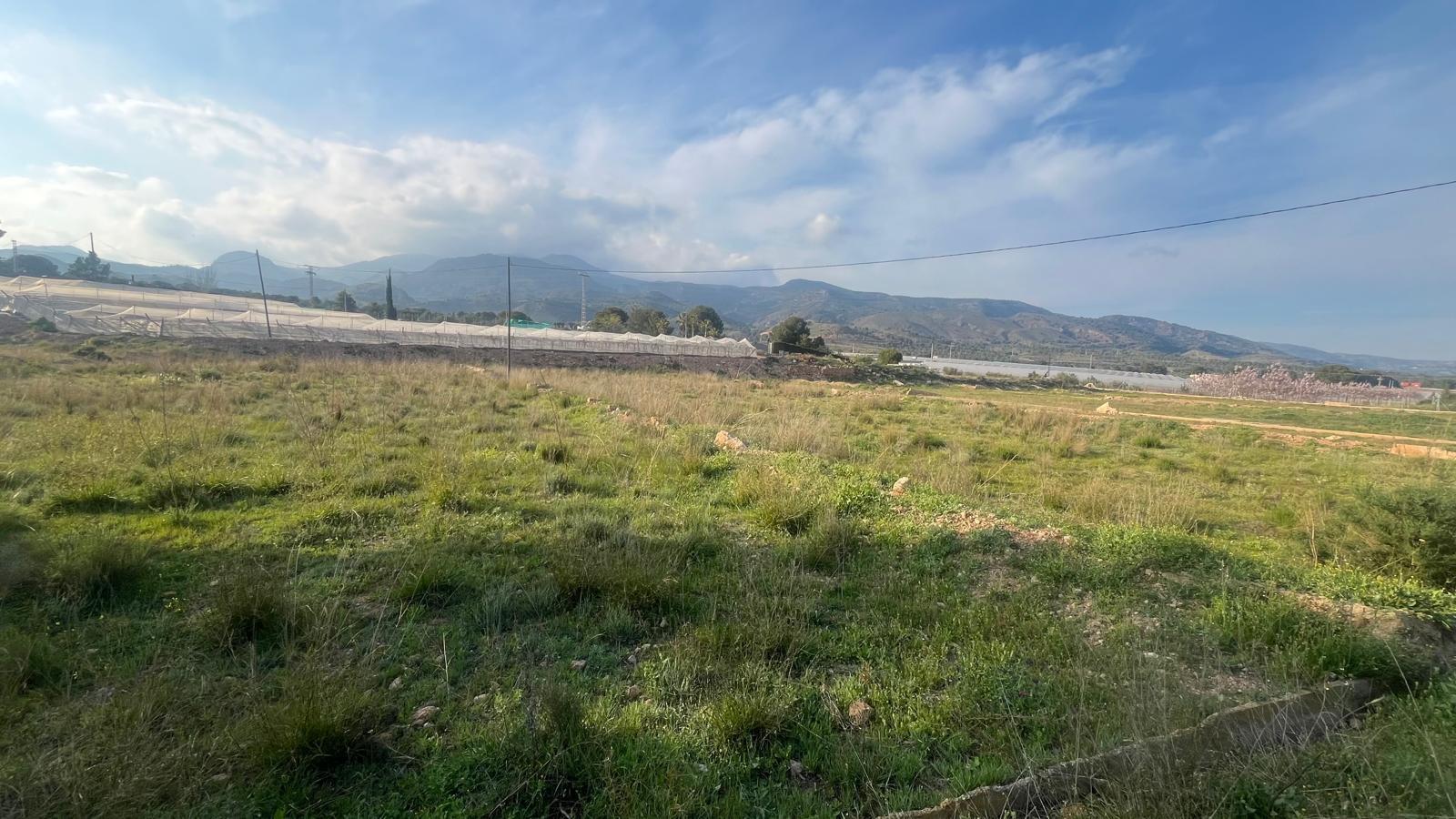 Plot for Sale in Totana