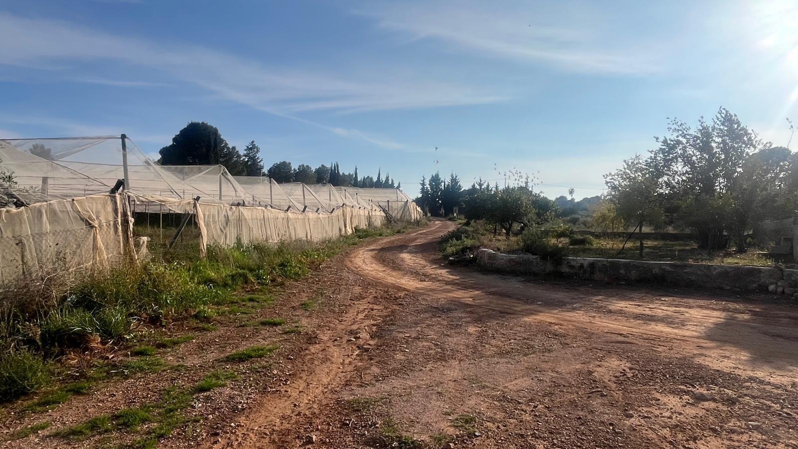 Plot for Sale in Totana