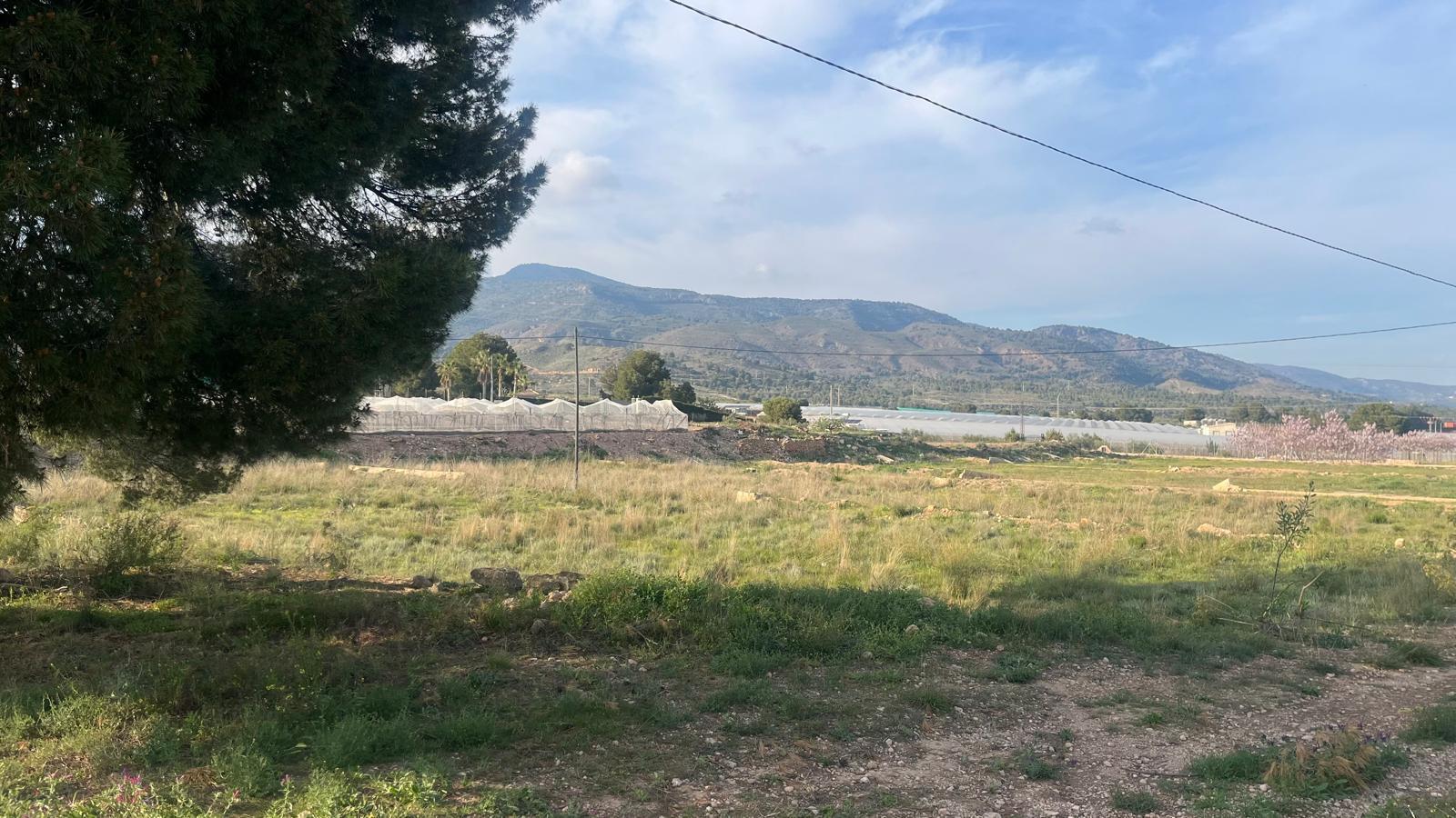 Plot for Sale in Totana