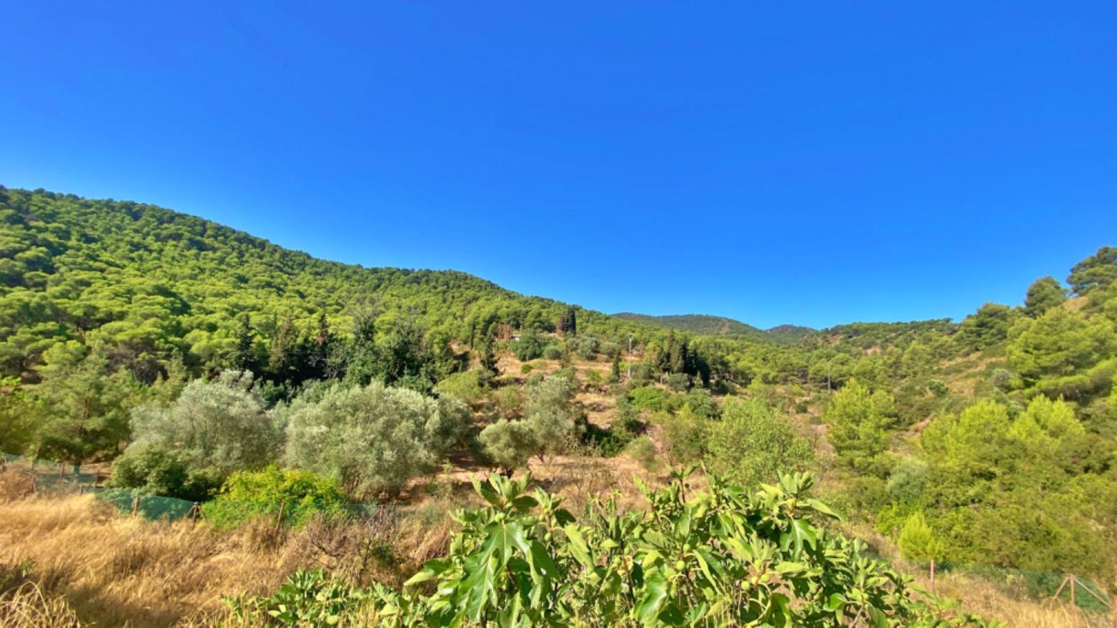 Finca en Venta en Alhama de Murcia