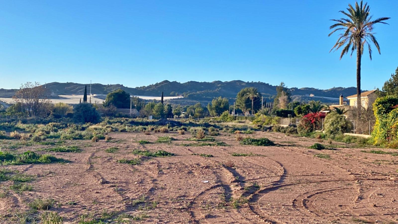 Parcela en Venta en Totana