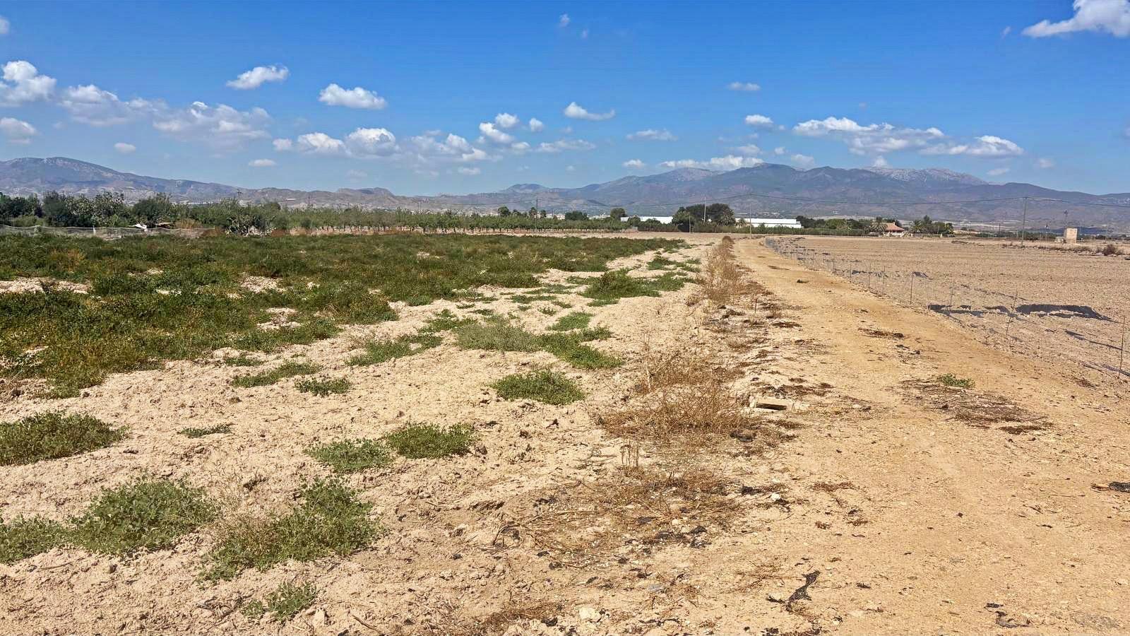 Plot for Sale in Totana