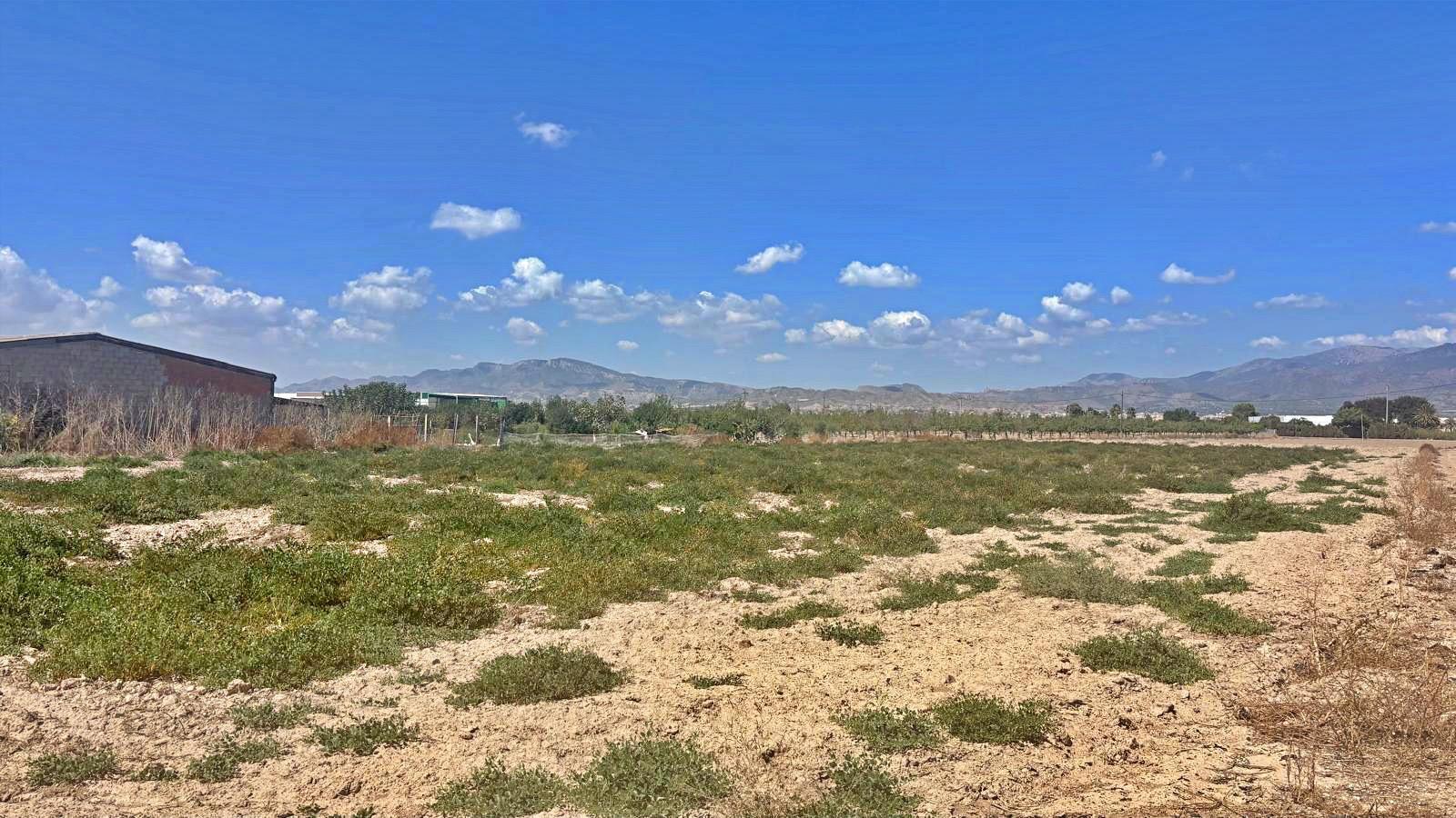 Plot for Sale in Totana