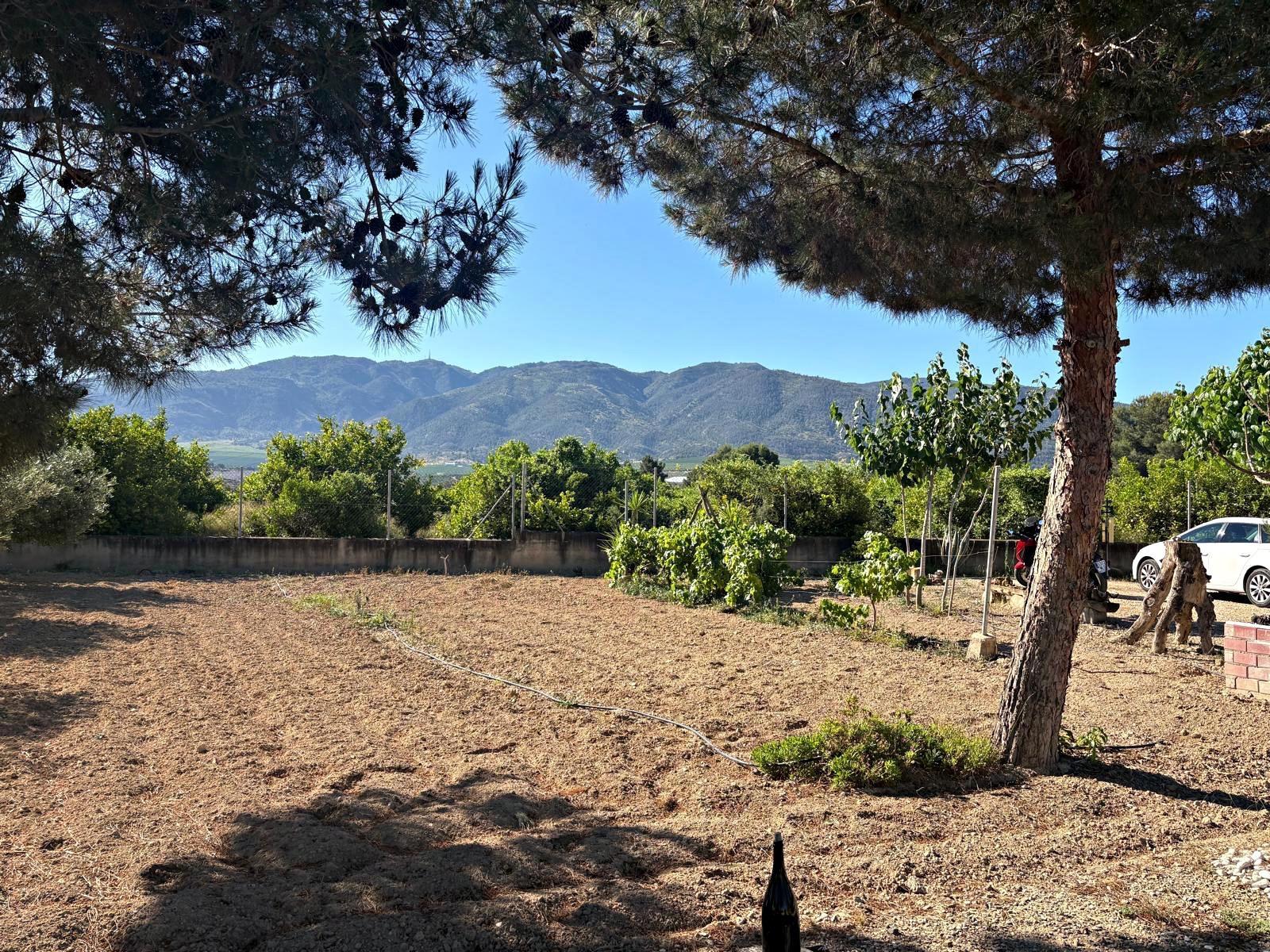 House for Sale in Librilla