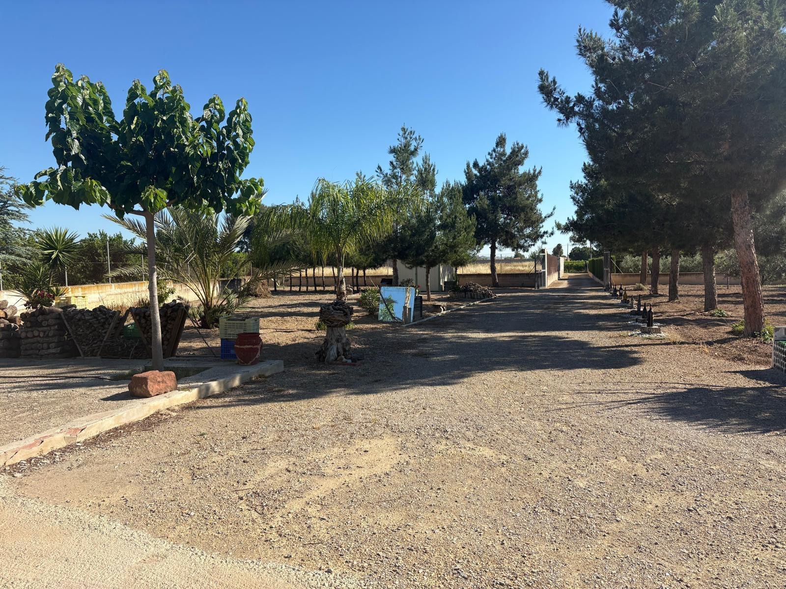 House for Sale in Librilla