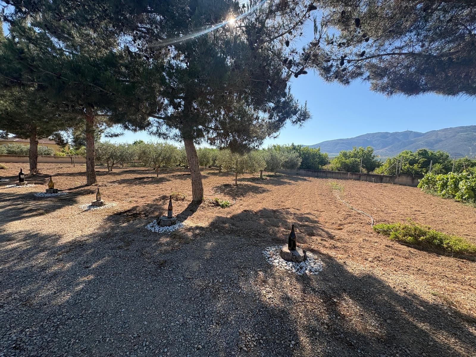 House for Sale in Librilla