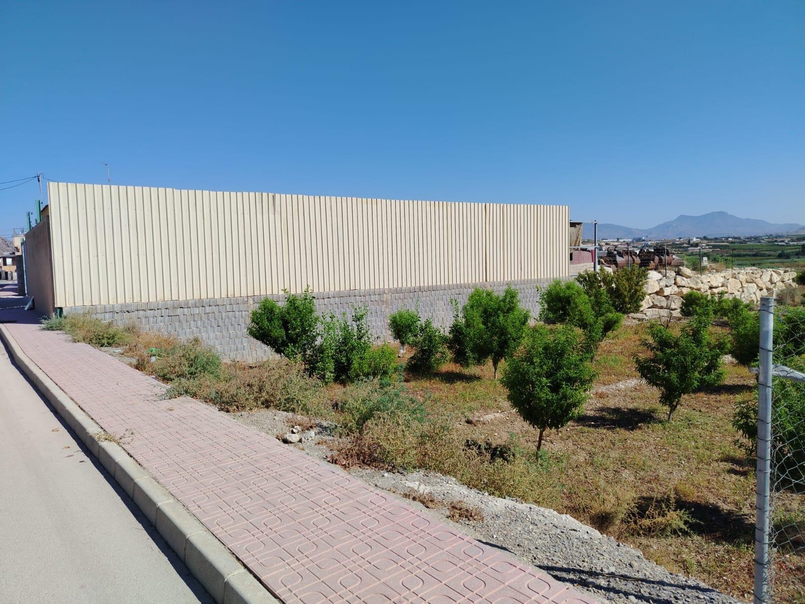 Building Site for Sale in Ceutí