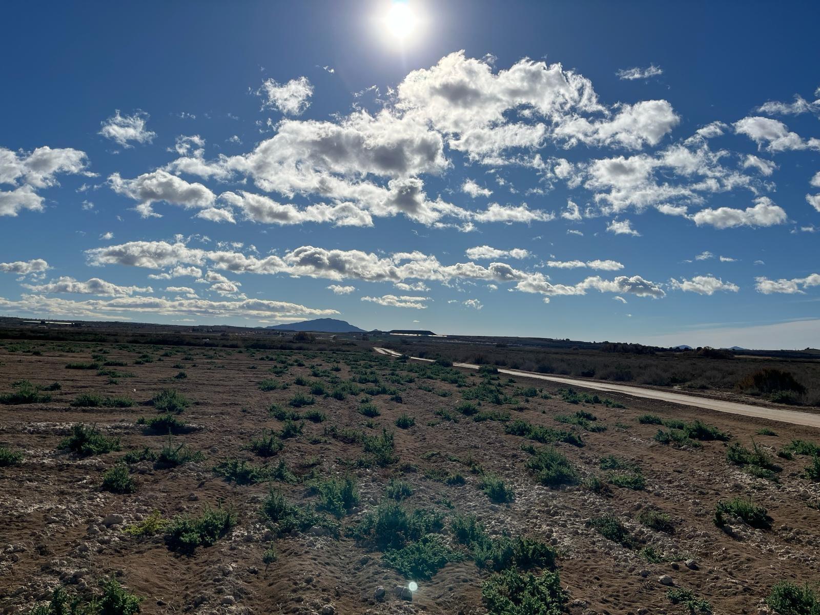 Plot for Sale in Alhama de Murcia