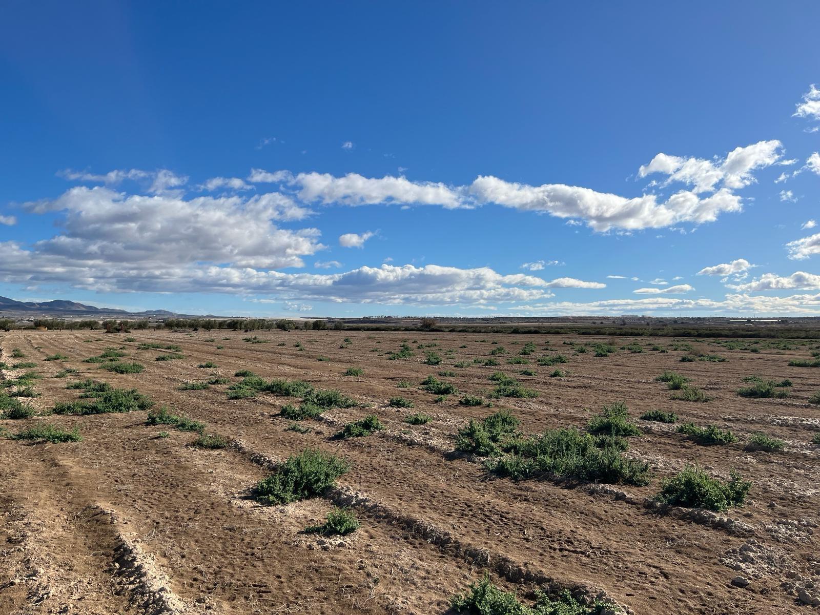 Plot for Sale in Alhama de Murcia
