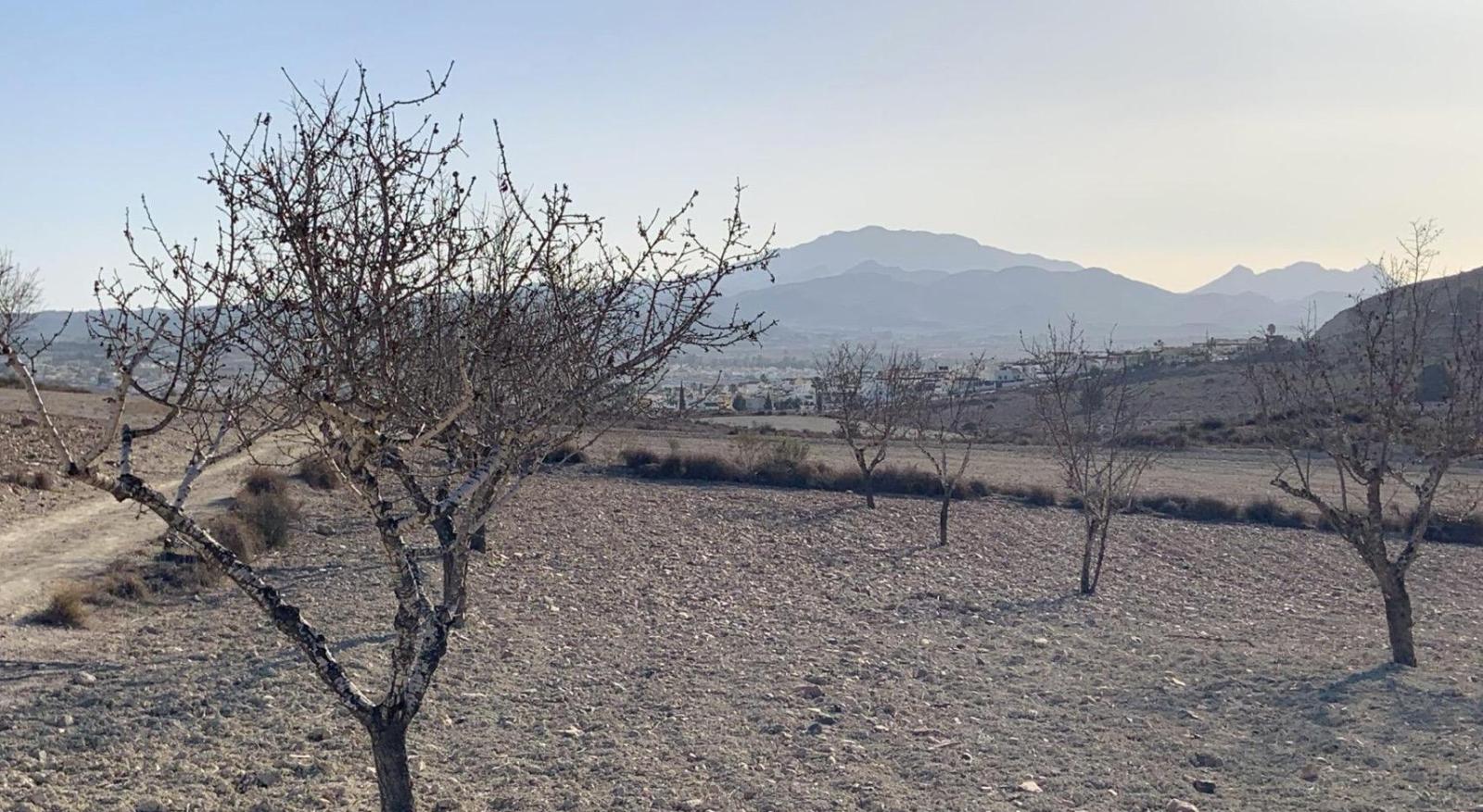 Parcela en Venta en Mazarrón