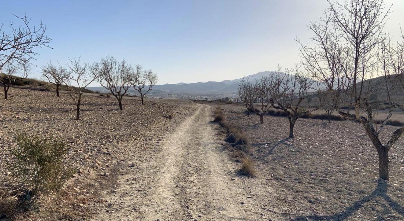 Parcela en Venta en Mazarrón