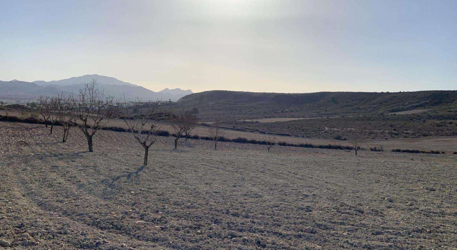 Parcela en Venta en Mazarrón