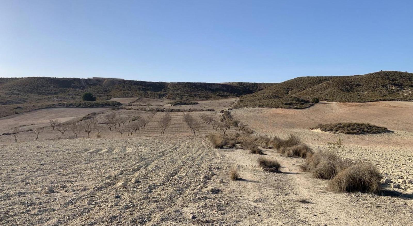 Parcela en Venta en Mazarrón