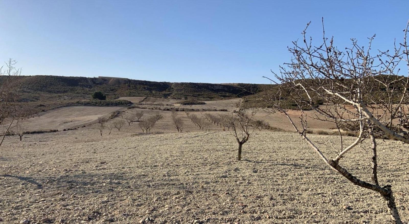 Parcela en Venta en Mazarrón