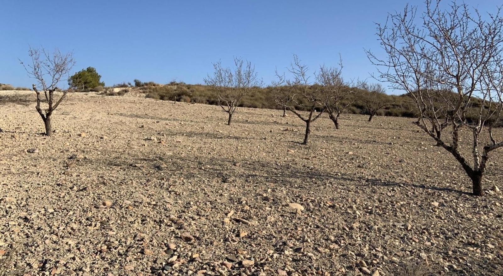 Parcela en Venta en Mazarrón