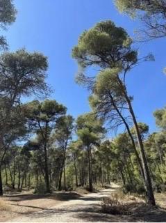 Parcela en Venta en Totana