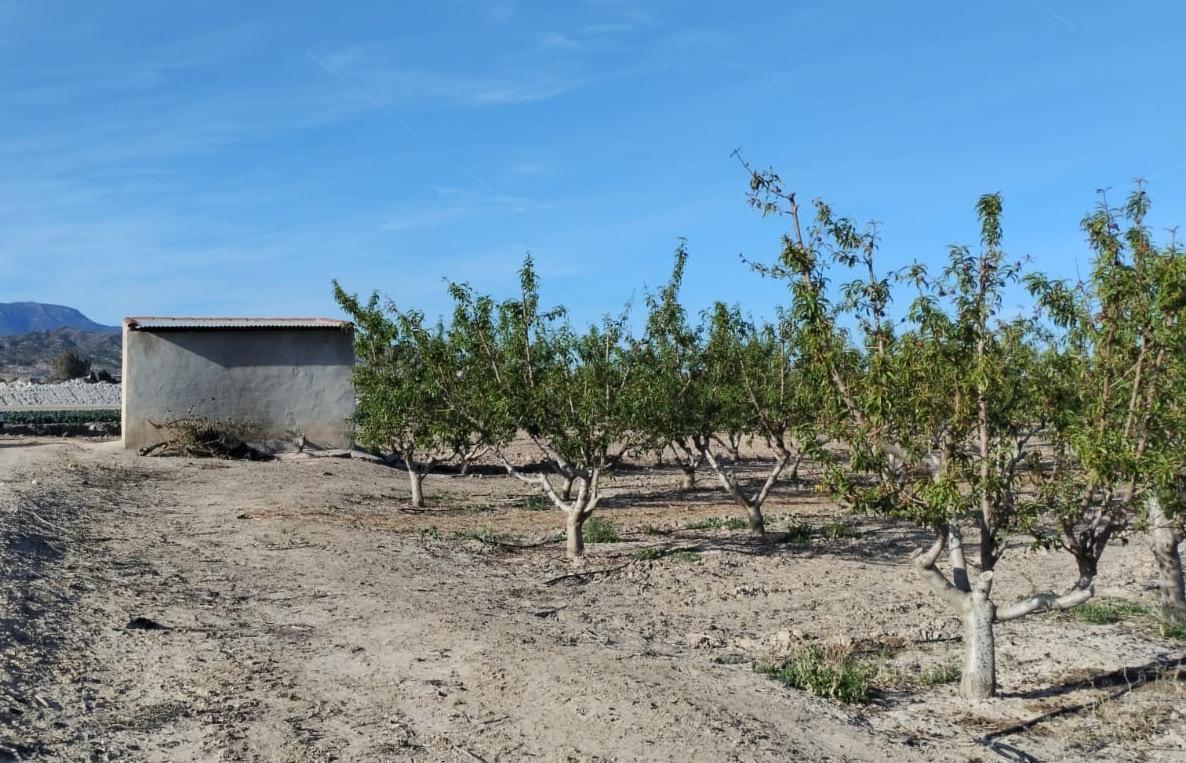 Plot for Sale in Totana