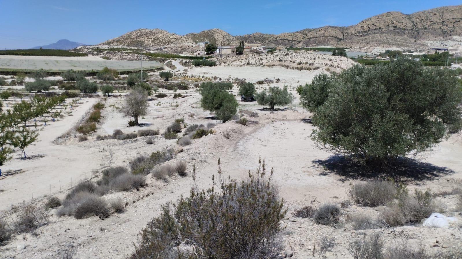 Parcela en Venta en Molina de Segura