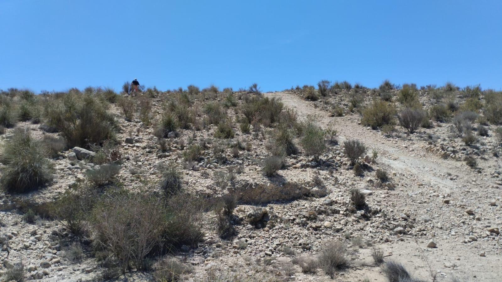 Parcela en Venta en Molina de Segura