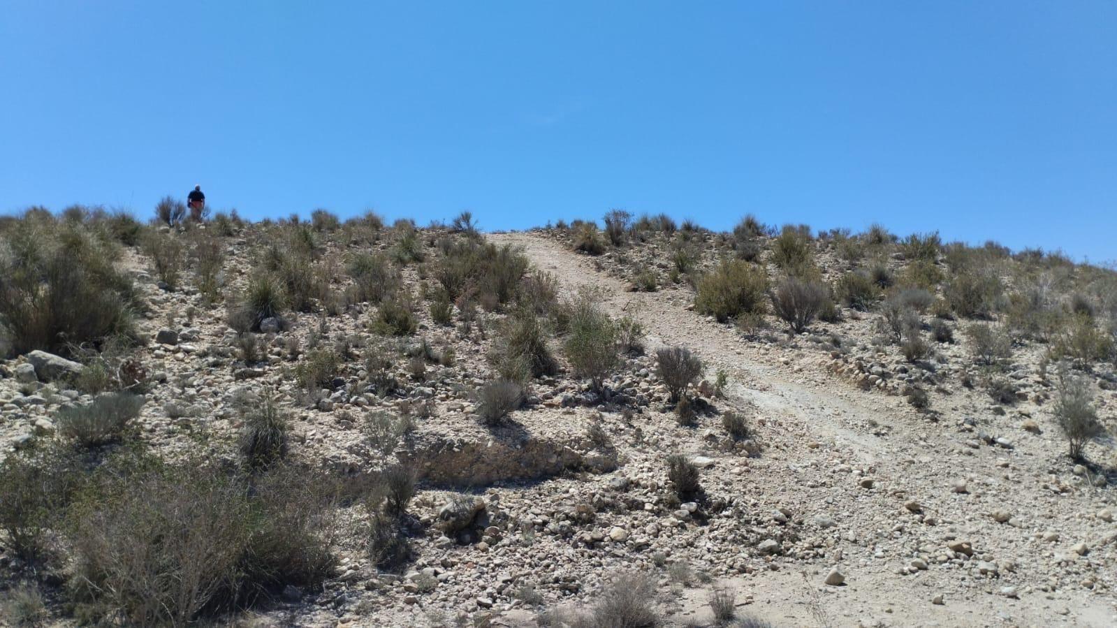 Parcela en Venta en Molina de Segura