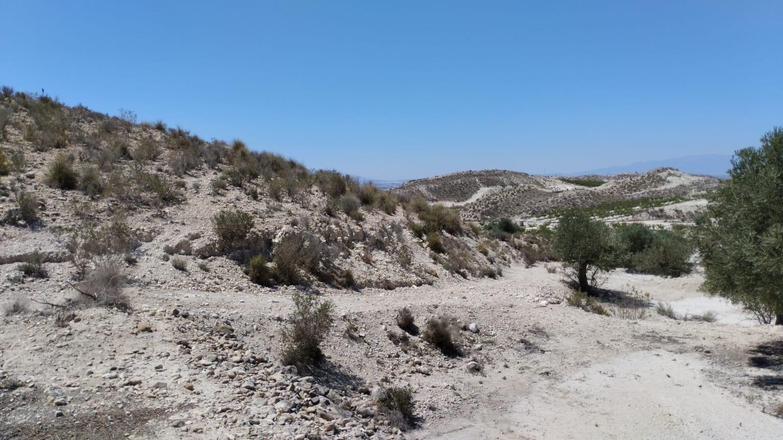 Parcela en Venta en Molina de Segura