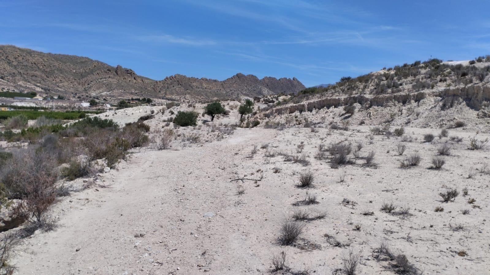 Parcela en Venta en Molina de Segura