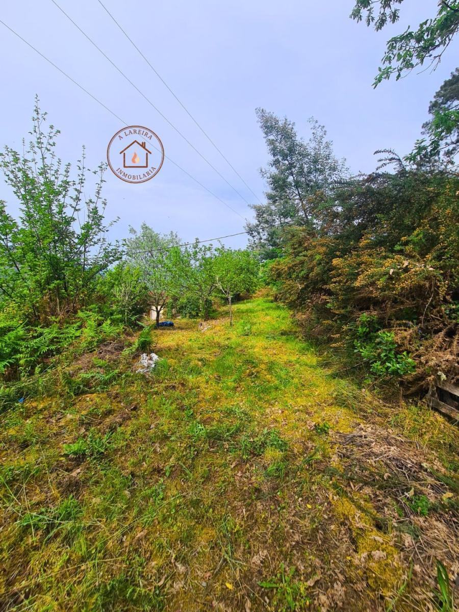 Chalet en Venta en Castrelo de Miño