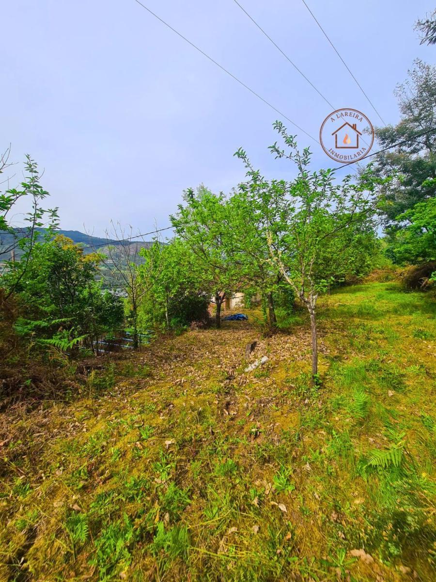Chalet en Venta en Castrelo de Miño