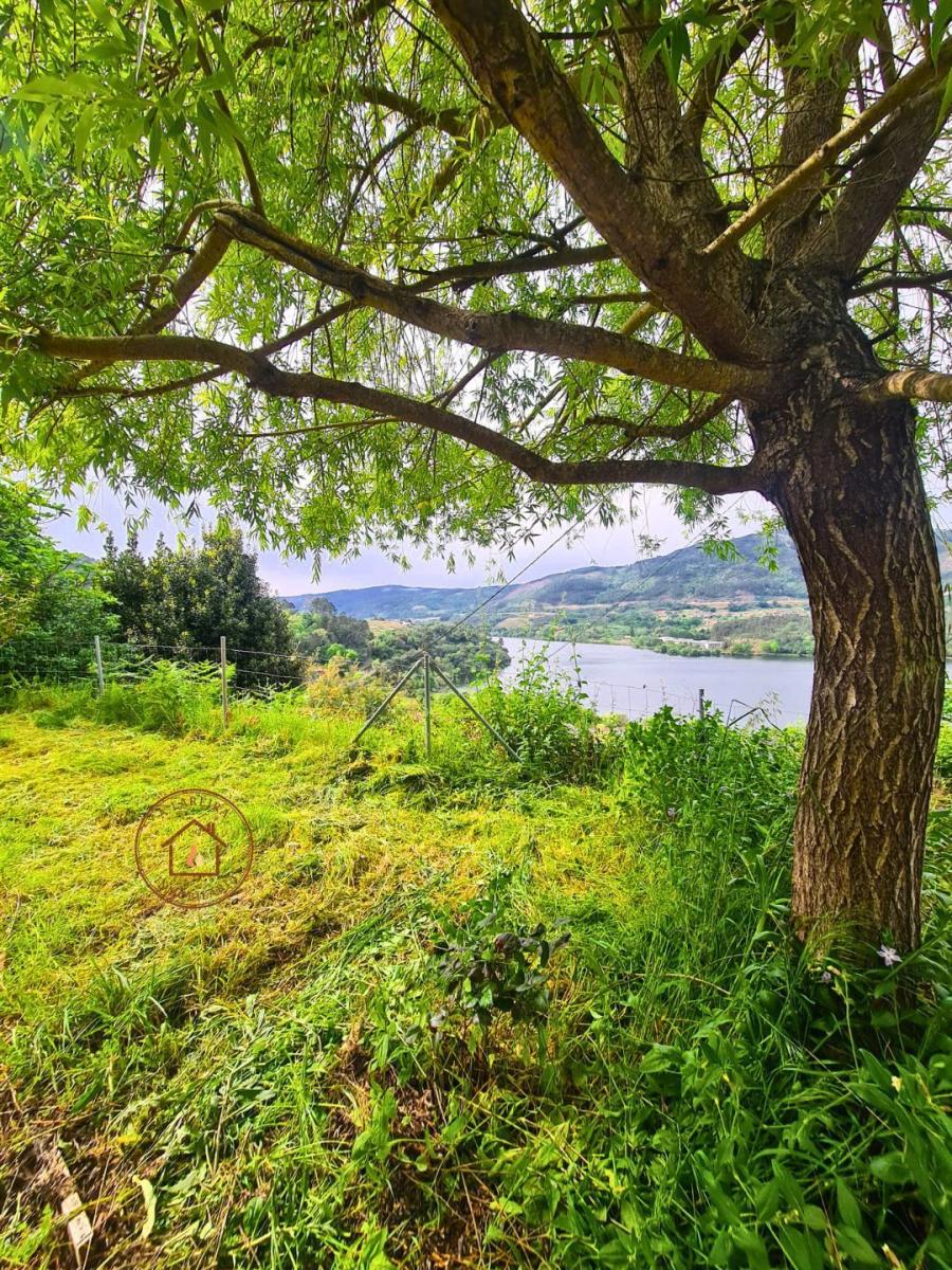 Chalet en Venta en Castrelo de Miño