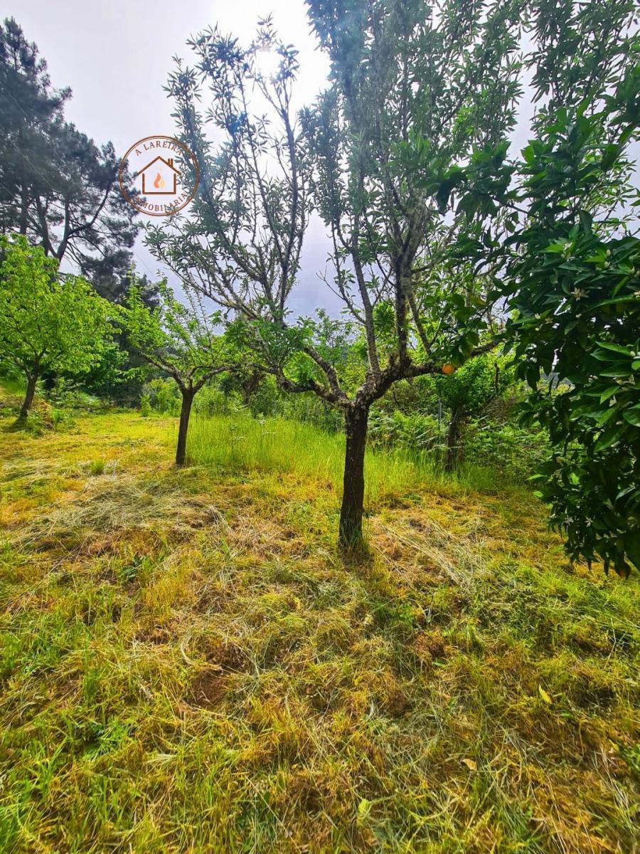 Chalet en Venta en Castrelo de Miño