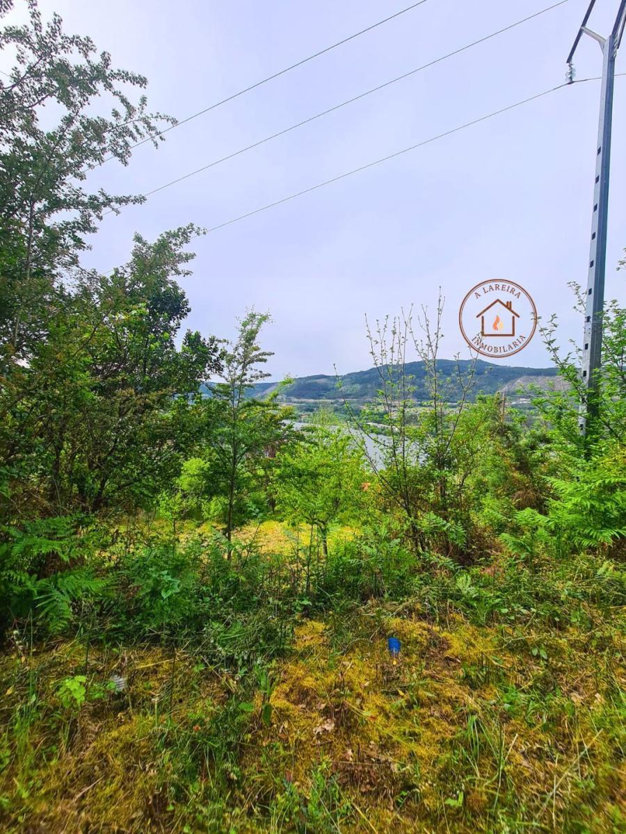 Chalet en Venta en Castrelo de Miño