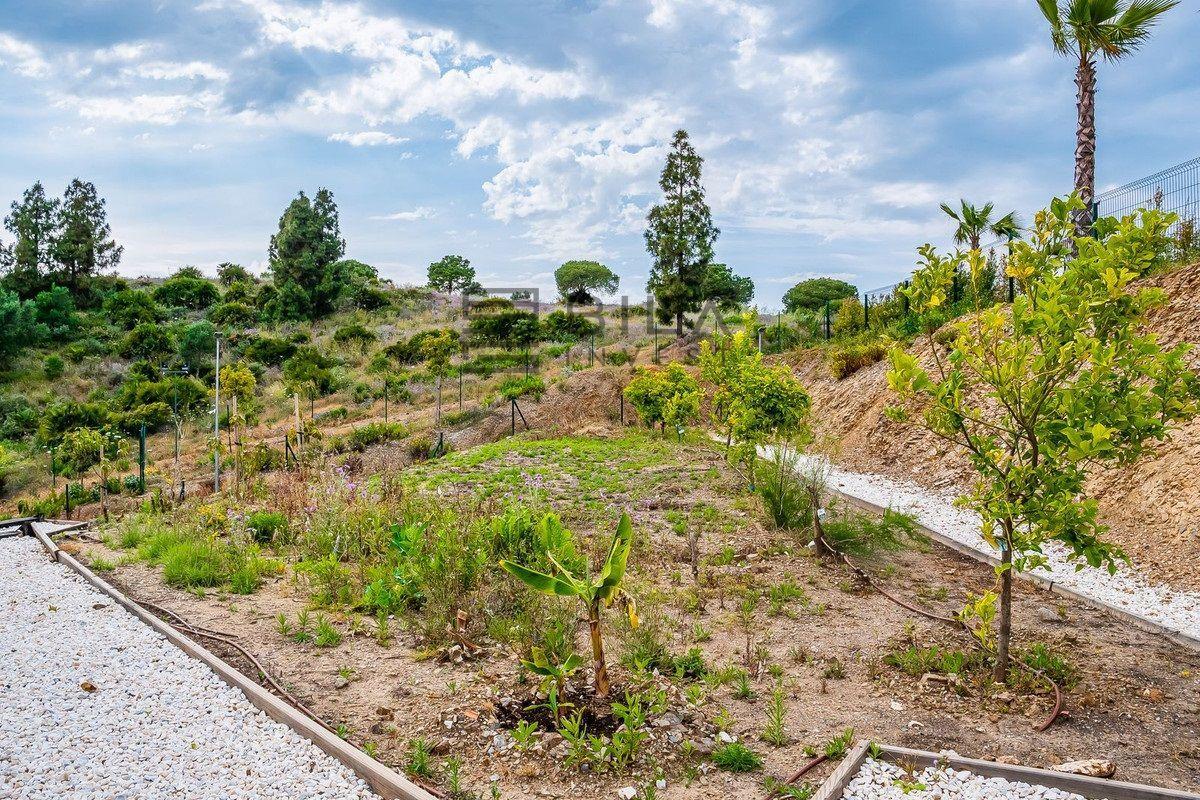 Flat for Sale in Mijas