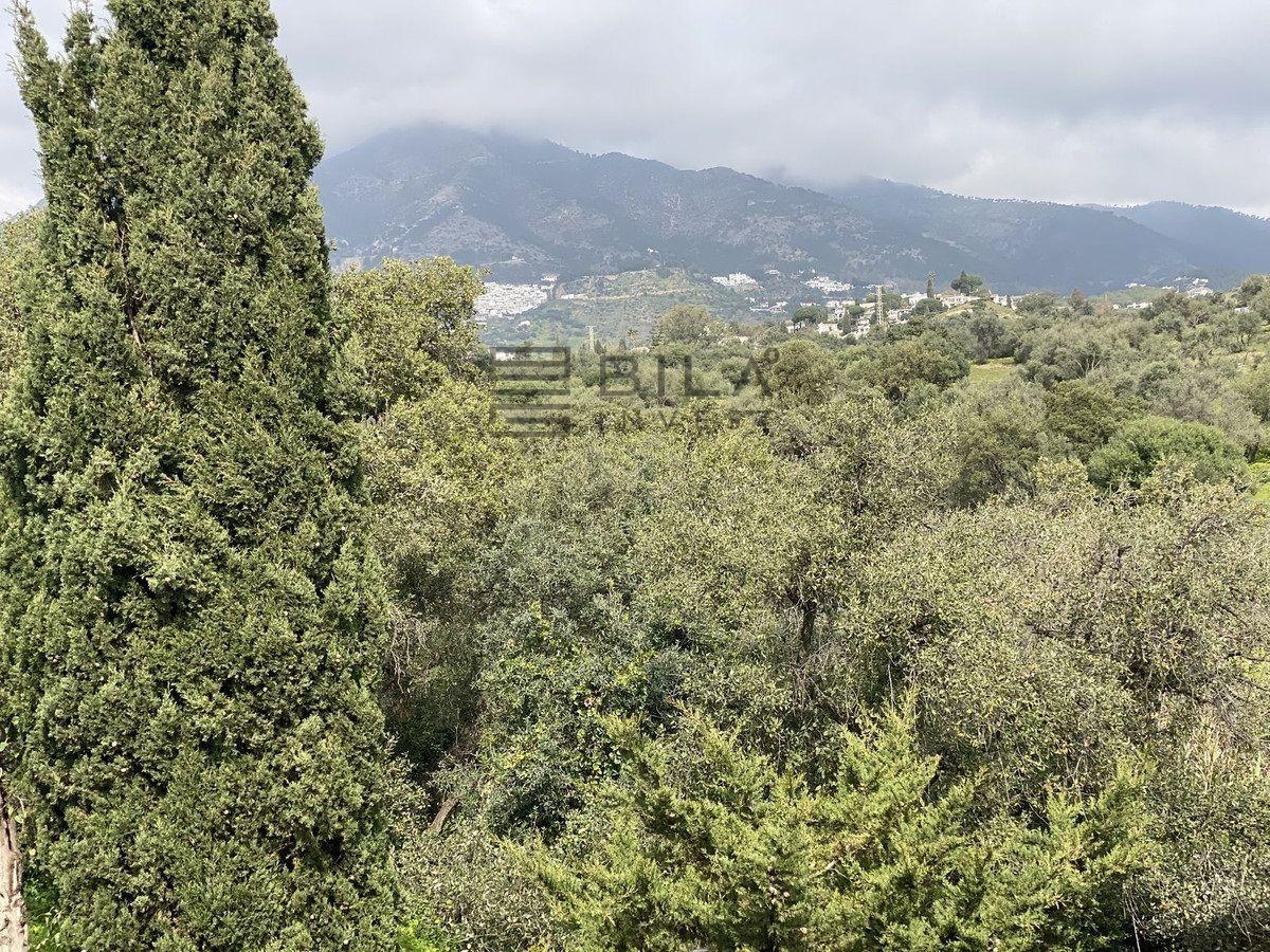 Flat for Sale in Mijas