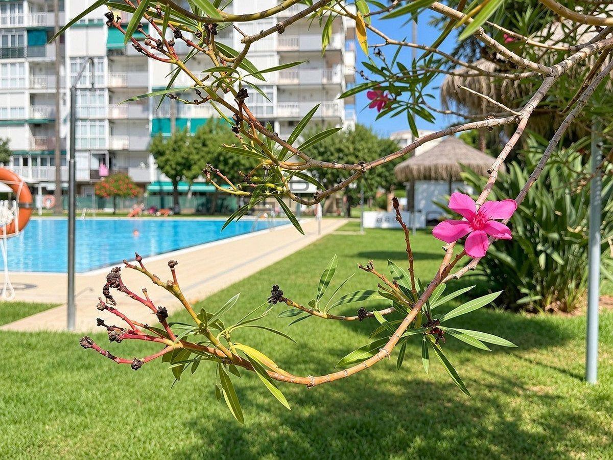 Flat for Sale in Benalmádena