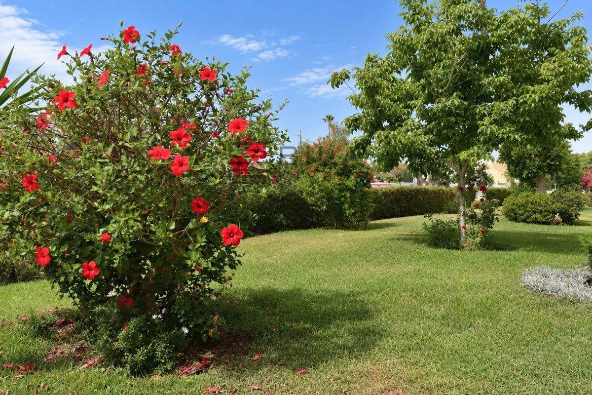 Flat for Sale in Mijas