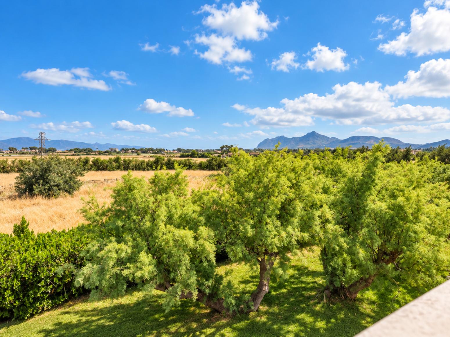 Casa en Venta en Alcúdia