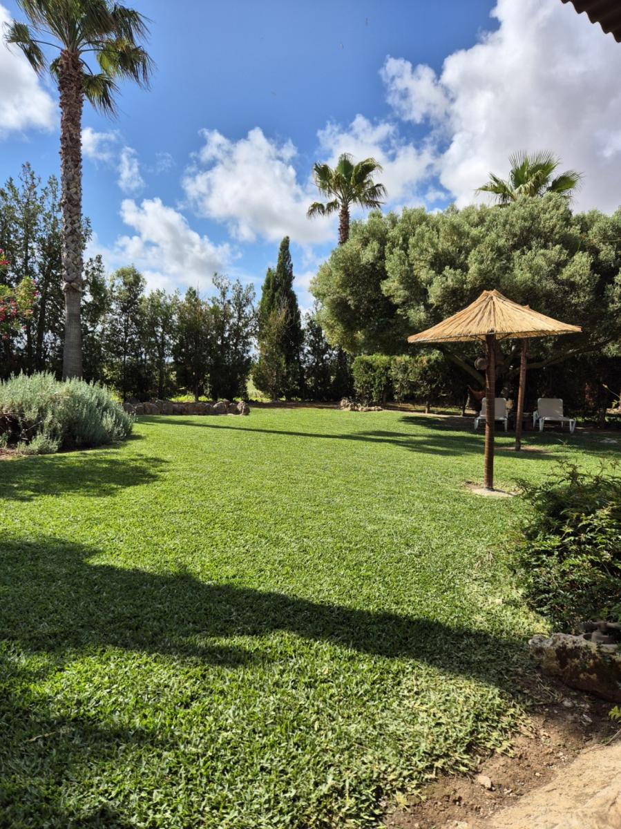 House for Rent in Sa Pobla