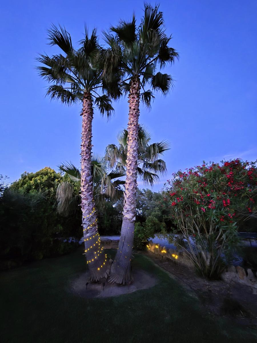 House for Rent in Sa Pobla