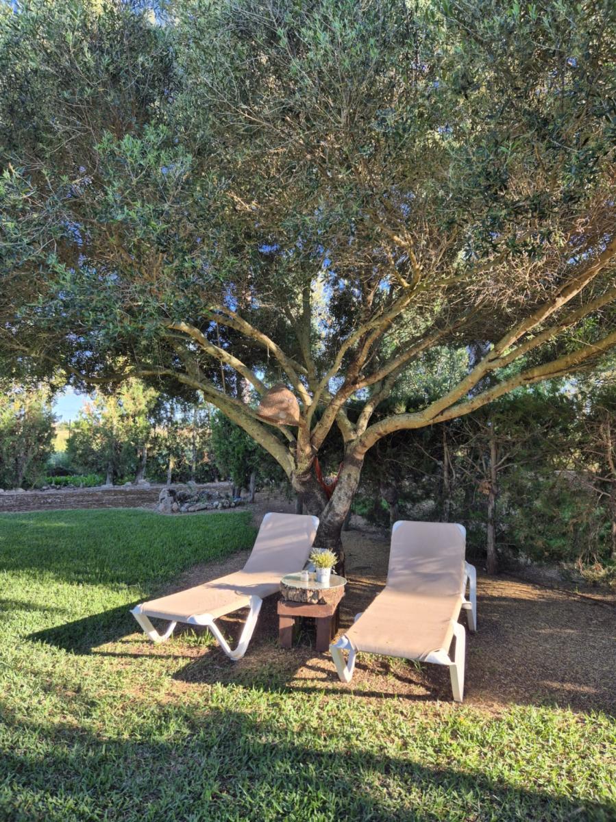 House for Rent in Sa Pobla