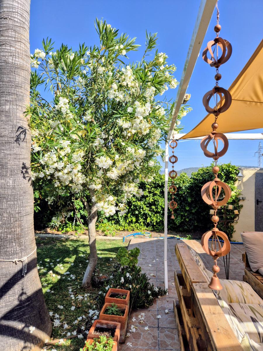 House for Rent in Sa Pobla