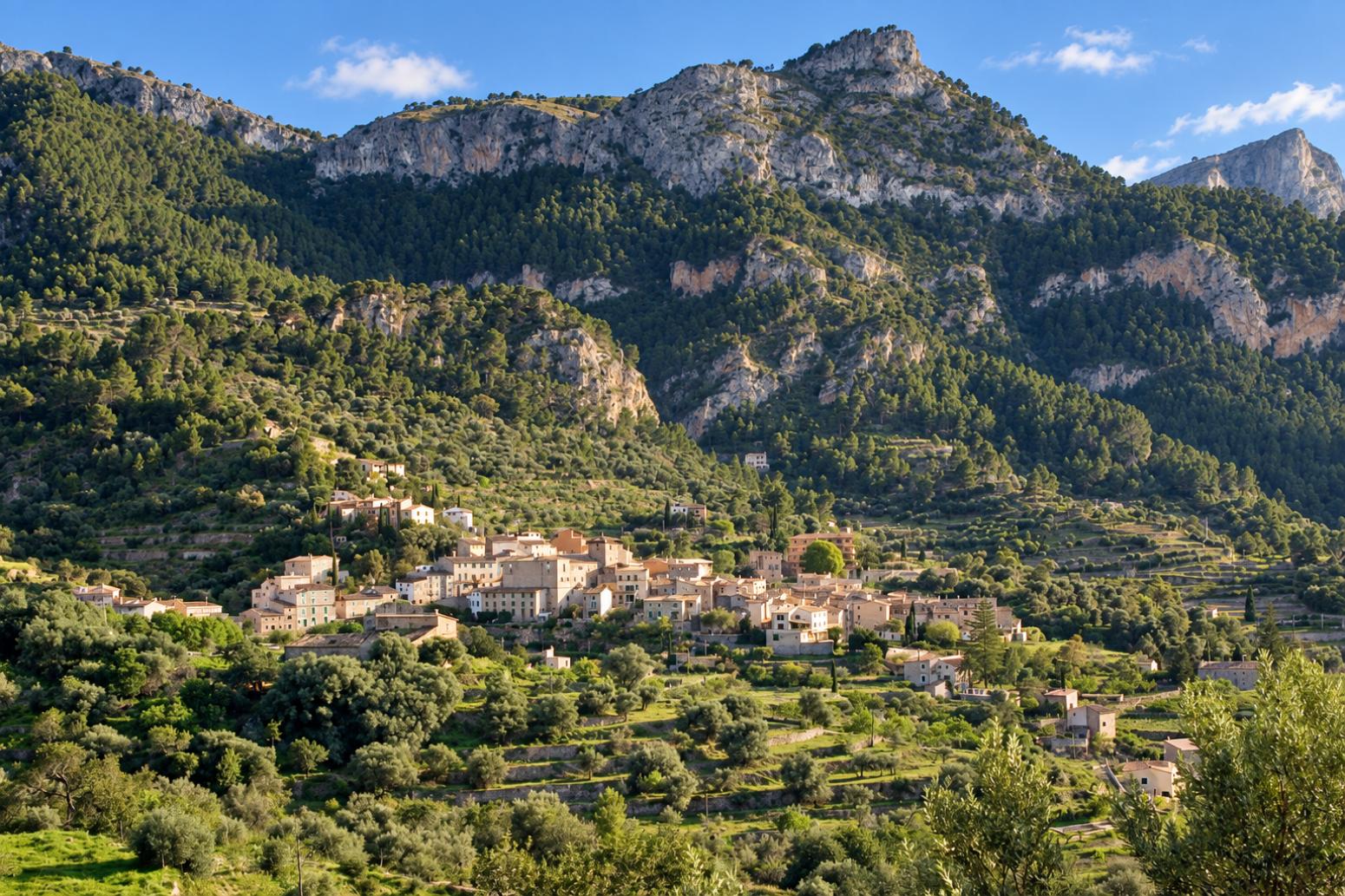 Premise for Sale in Estellencs