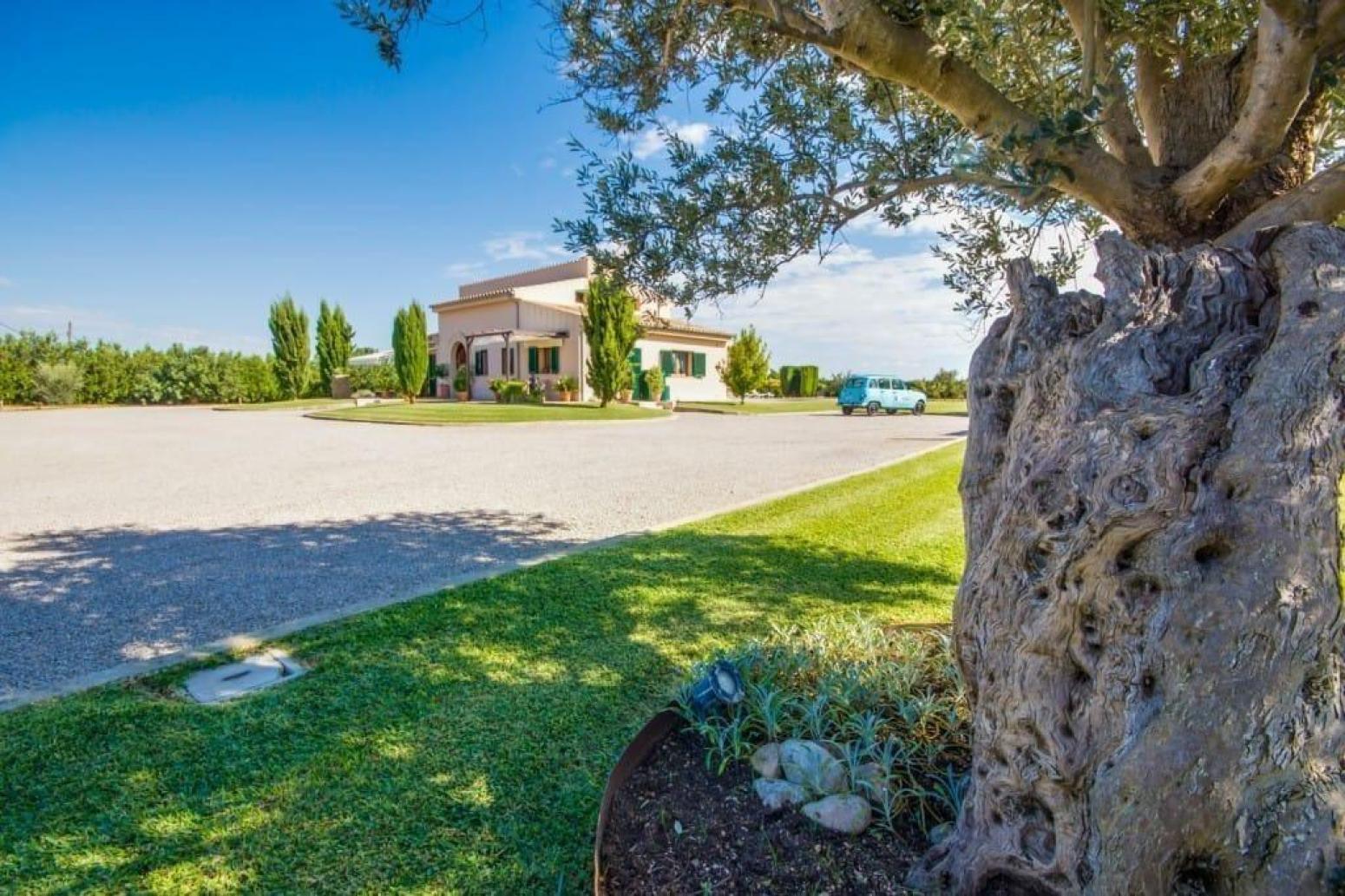 Casa en Venta en Sa Pobla
