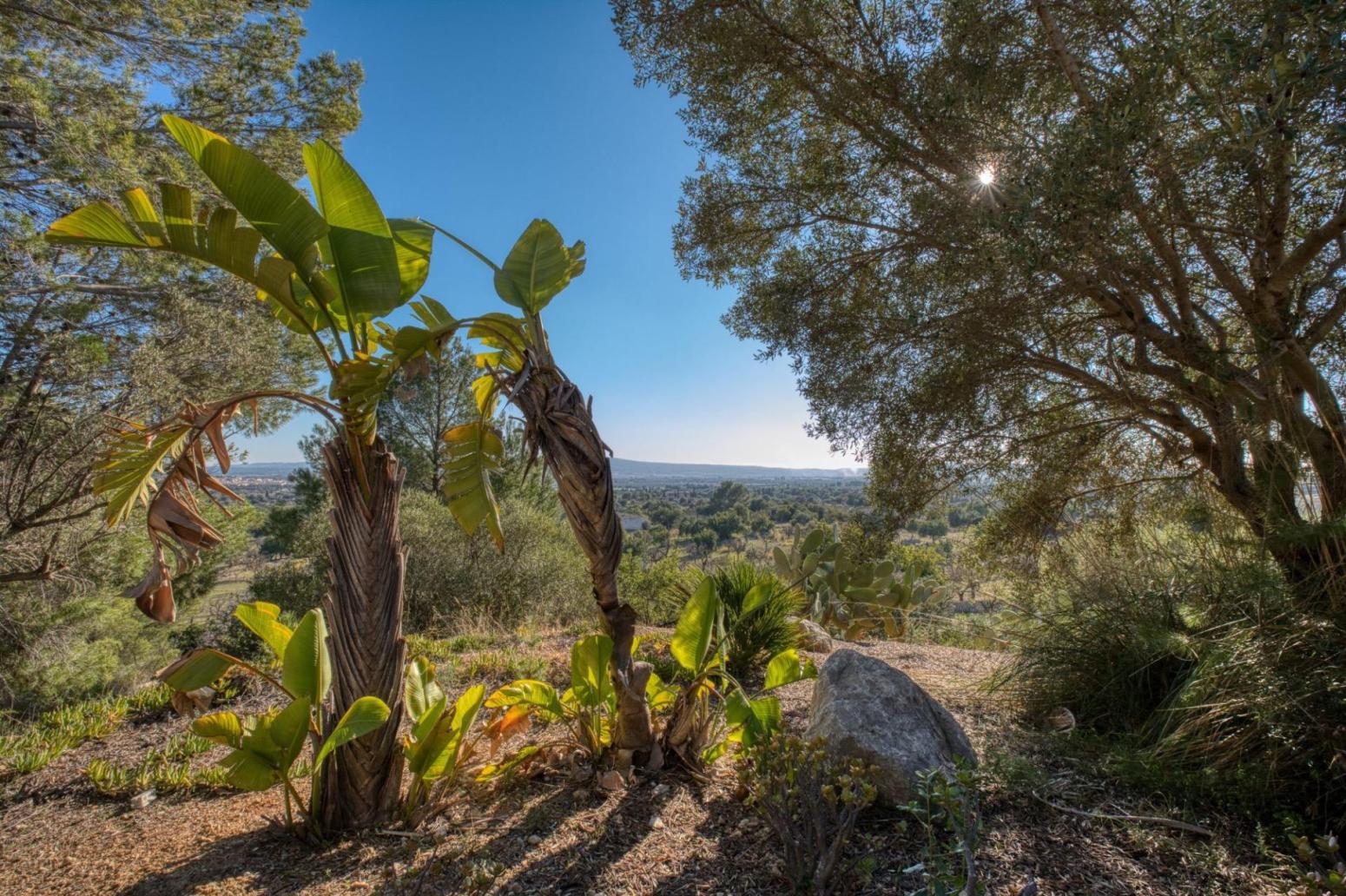 Casa en Venta en Santa María del Camí