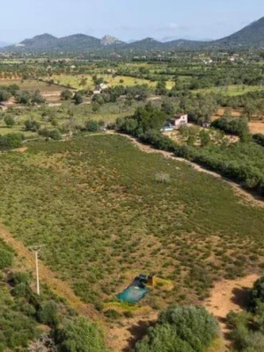 Finca en Venta en Llucmajor