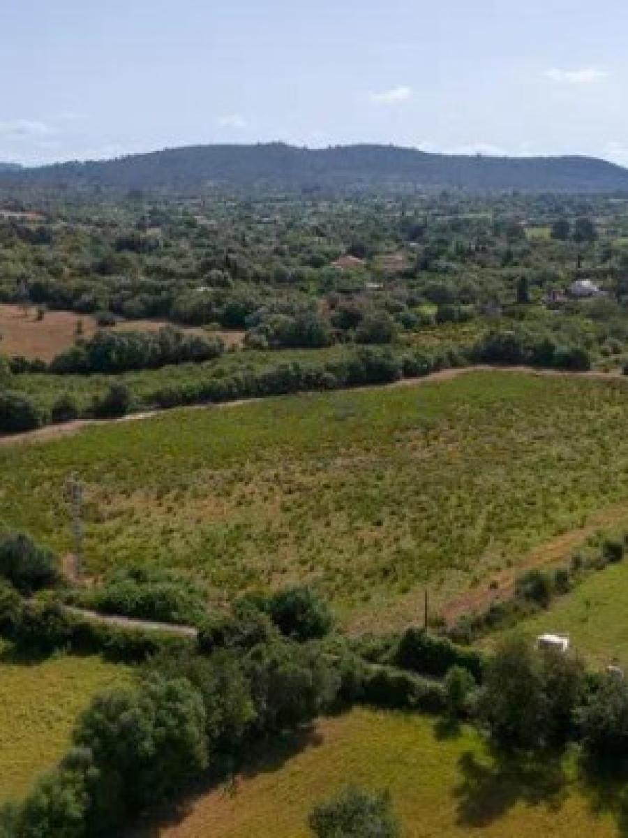 Finca en Venta en Llucmajor