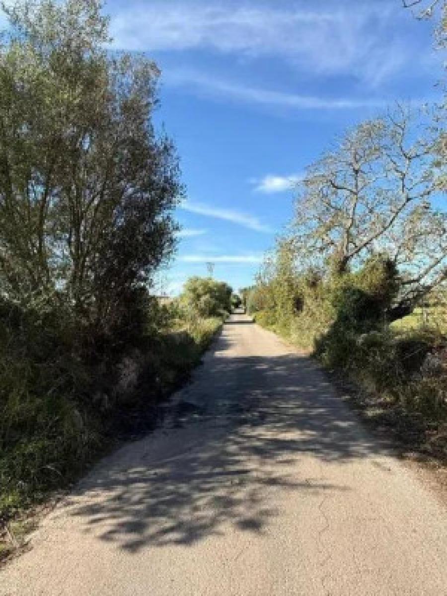 Finca en Venta en Llucmajor