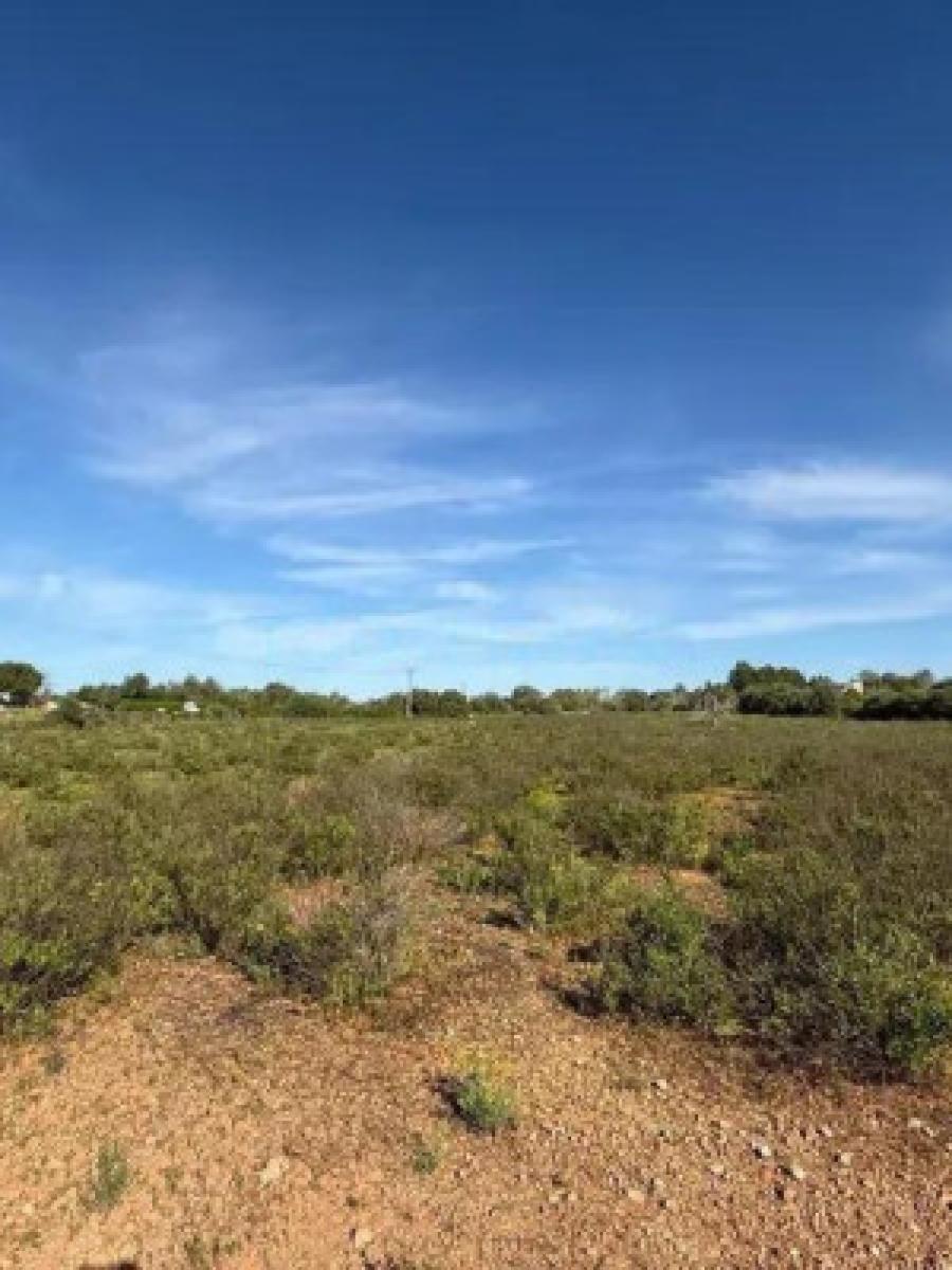 Finca en Venta en Llucmajor