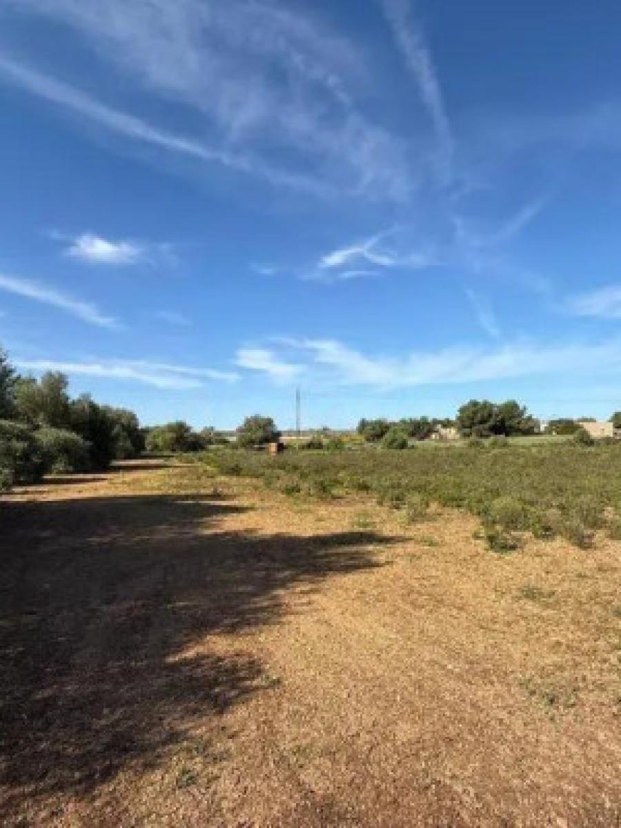 Finca en Venta en Llucmajor